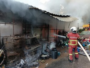 IMG-20250919-WA0010 (1)