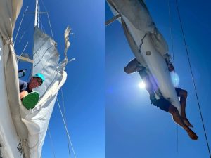 InCollage_20250926_180511059