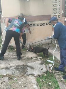 561185387_1364486521906700_7486956289079686243_n