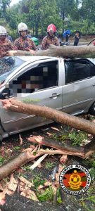 7752e53d-a18d-42c6-baba-0fada786517b