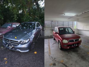 InCollage_20251021_190815182