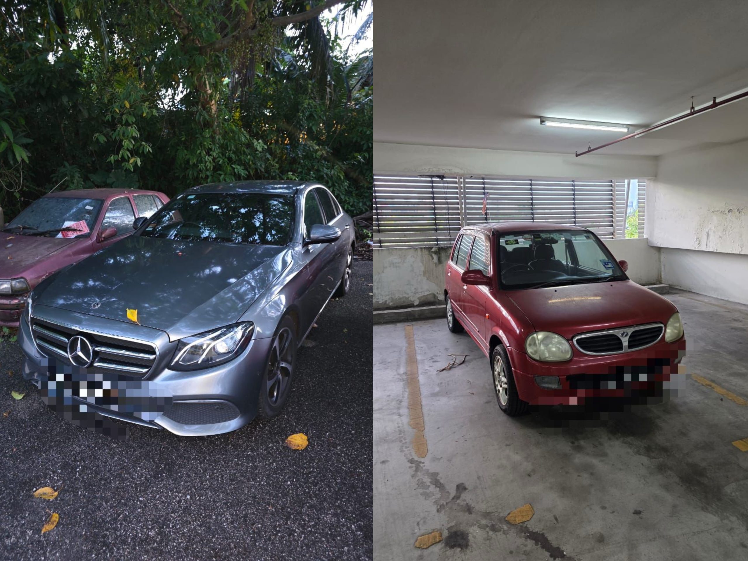 InCollage_20251021_190815182