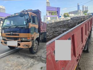 InCollage_20251103_094133602