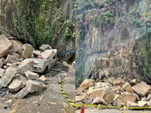 InCollage_20251103_231208347