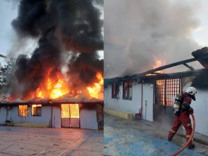 InCollage_20251114_094028648