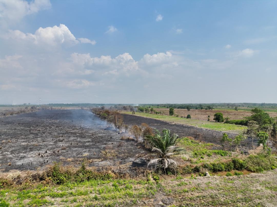 WhatsApp Image 2026-02-04 at 4.25.12 PM