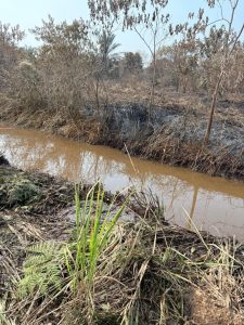 WhatsApp Image 2026-02-05 at 11.00.51 AM