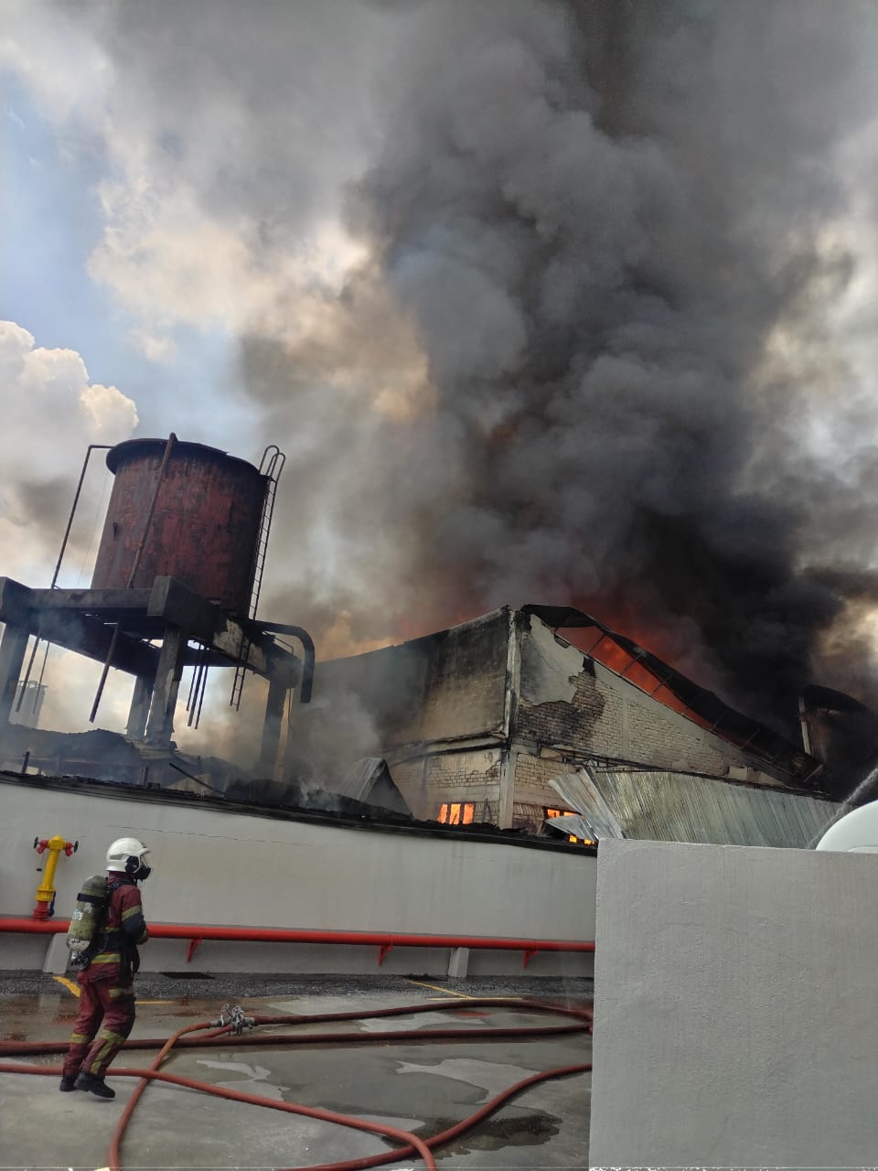 WhatsApp Image 2026-02-08 at 2.13.39 PM