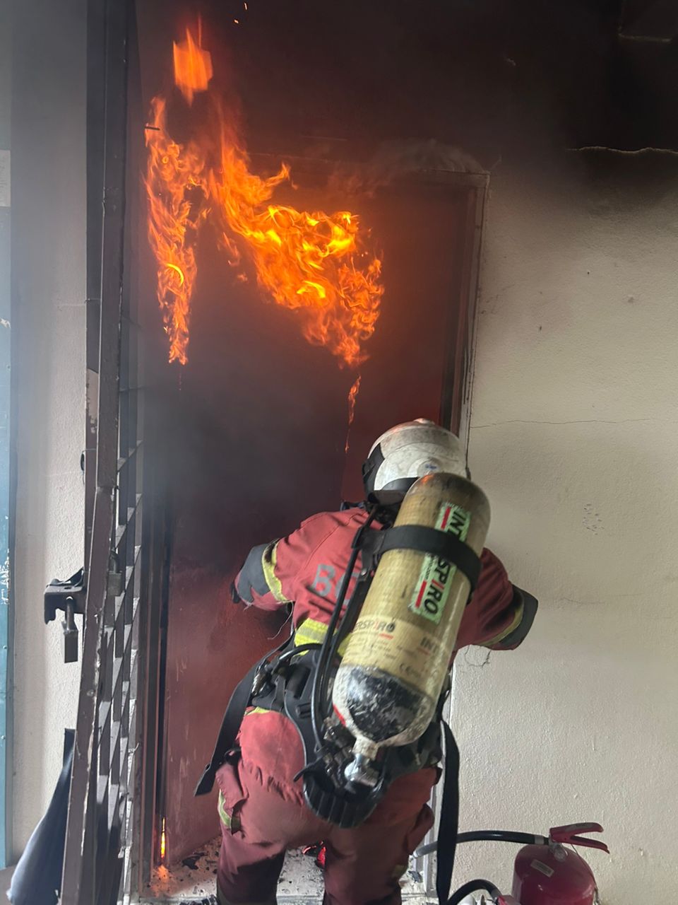 WhatsApp Image 2026-03-14 at 11.43.17