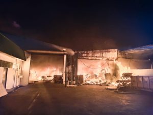 WhatsApp Image 2026-03-15 at 00.45.53