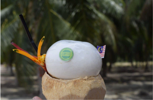 kelapa bagan datuk