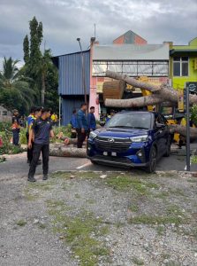 Majlis Perbandaran Negeri Perlis