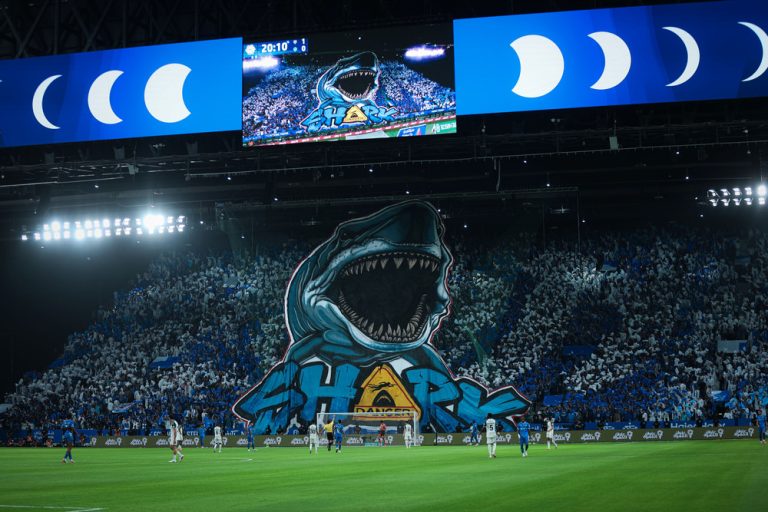 Saudi pro league